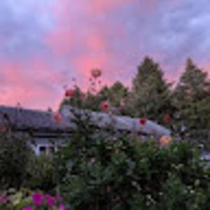 Meet your Posher, Hayley